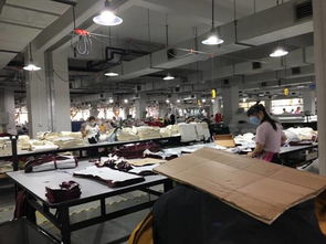 物流学院供应链管理移动课堂 走进雪歌服饰工厂的实践探索