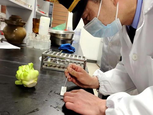 浙江余姚 筑牢榨菜加工安全防线，守护源头生产第一关